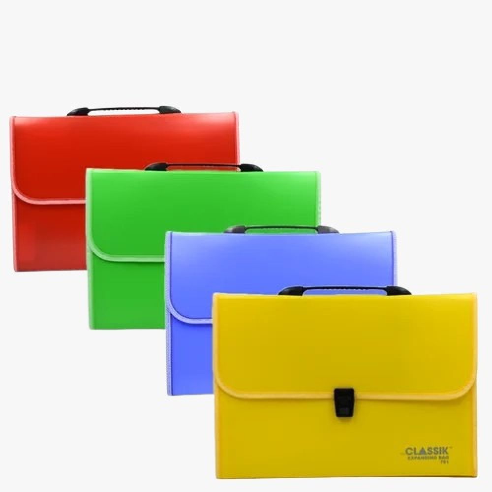 Expanding Document Bag F.S With 13 Leaves C.L_OP OPP PKG